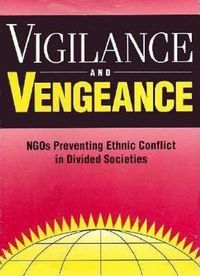 Cover image for Vigilance and Vengeance: NGO's Preventing Ethnic Conflict in Divided Societies