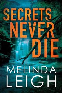 Cover image for Secrets Never Die