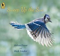 Cover image for Sweep Up the Sun
