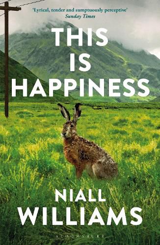 Cover image for This Is Happiness