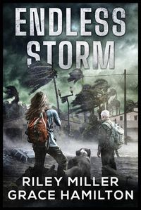 Cover image for Endless Storm