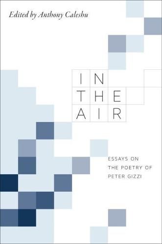 Cover image for In the Air: Essays on the Poetry of Peter Gizzi