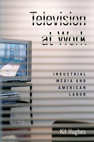 Cover image for Television at Work: Industrial Media and American Labor
