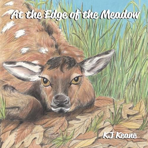 Cover image for At the Edge of the Meadow