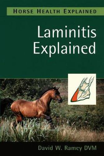 Cover image for Laminitis Explained