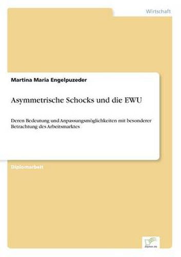 Cover image for Asymmetrische Schocks und die EWU: Deren Bedeutung und Anpassungsmoeglichkeiten mit besonderer Betrachtung des Arbeitsmarktes