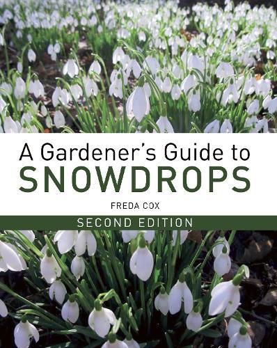 Cover image for A Gardener's Guide to Snowdrops: Second Edition