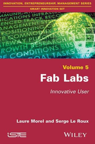 Cover image for Fab Labs: Innovative User