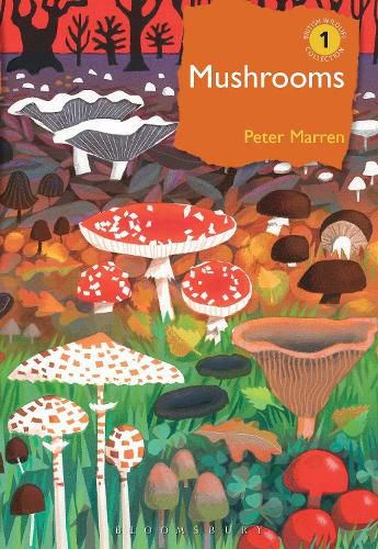 Mushrooms: The natural and human world of British fungi