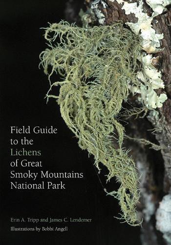 Cover image for Field Guide to the Lichens of Great Smoky Mountains National Park