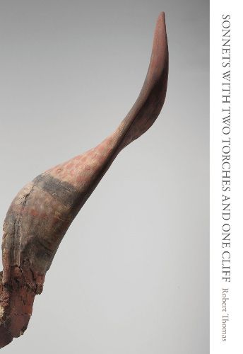 Cover image for Sonnets with Two Torches and One Cliff
