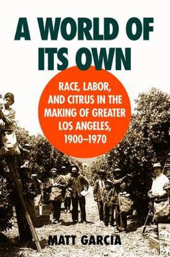 Cover image for A World of Its Own: Intercultural Relations in the Citrus Belt of Southern California, 1900-1970