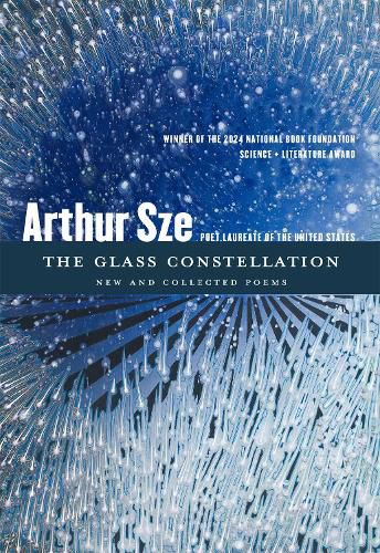Cover image for The Glass Constellation
