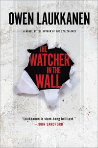 Cover image for The Watcher In The Wall: A Stevens and Windermere Novel