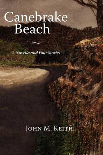 Cover image for Canebrake Beach: A Novella and Four Stories