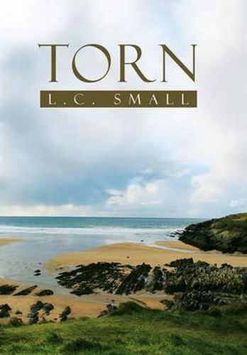 Cover image for Torn