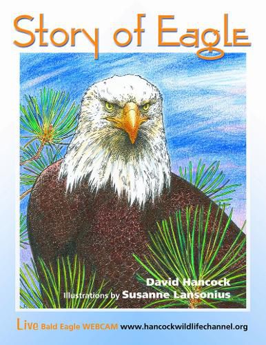 Cover image for Story of Eagle Activity & Coloring Book