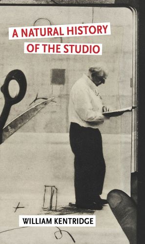 Cover image for A Natural History of the Studio