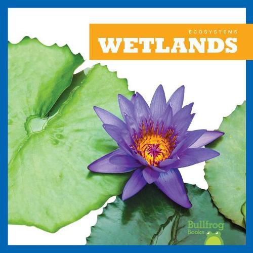 Cover image for Wetlands