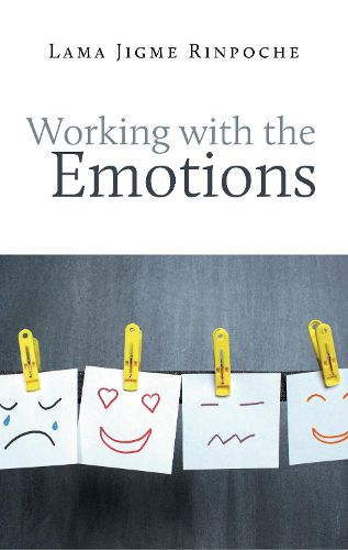 Cover image for Working With the Emotions