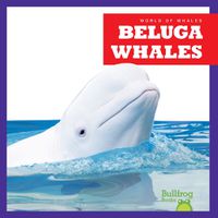 Cover image for Beluga Whales