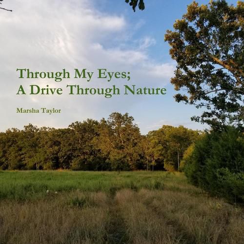 Cover image for Through My Eyes; A Drive Through Nature