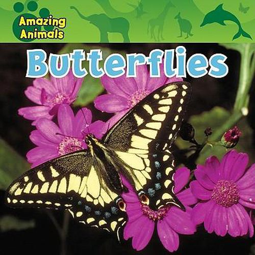 Cover image for Butterflies
