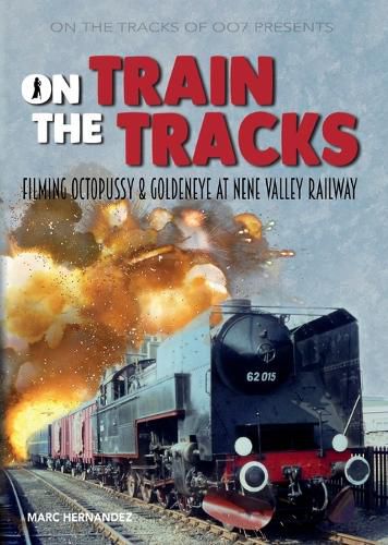 Cover image for On the train tracks