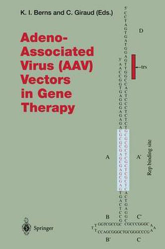 Cover image for Adeno-Associated Virus (AAV) Vectors in Gene Therapy