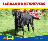 Cover image for Labrador Retrievers