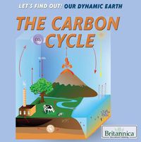 Cover image for The Carbon Cycle