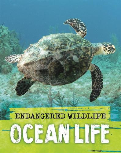 Cover image for Endangered Wildlife: Rescuing Ocean Life