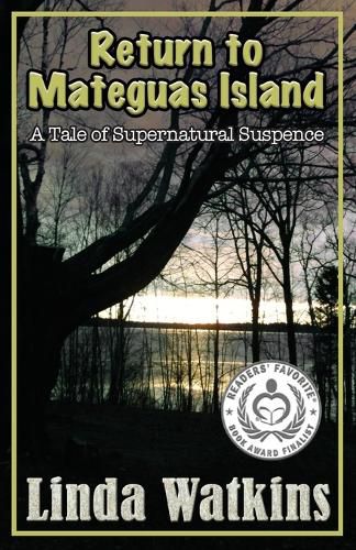 Cover image for Return to Mateguas Island: A Tale of Supernatural Suspense