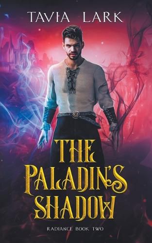 Cover image for The Paladin's Shadow