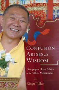 Cover image for Confusion Arises as Wisdom: Gampopa's Heart Advice on the Path of Mahamudra