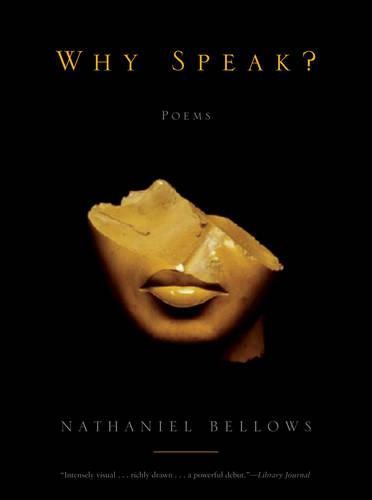 Cover image for Why Speak?: Poems