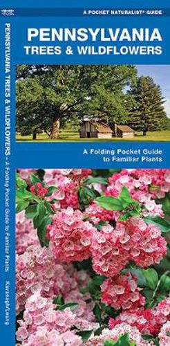 Cover image for Pennsylvania Trees & Wildflowers: A Folding Pocket Guide to Familiar Plants