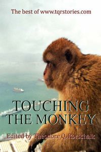 Cover image for Touching the Monkey