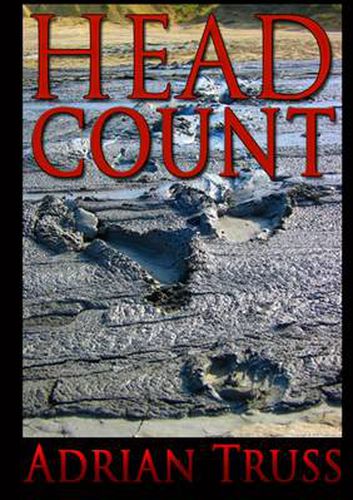 Cover image for Head Count