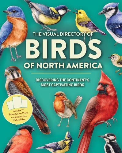 Cover image for The Visual Directory of Birds of North America