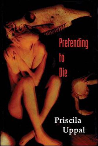 Cover image for Pretending to Die