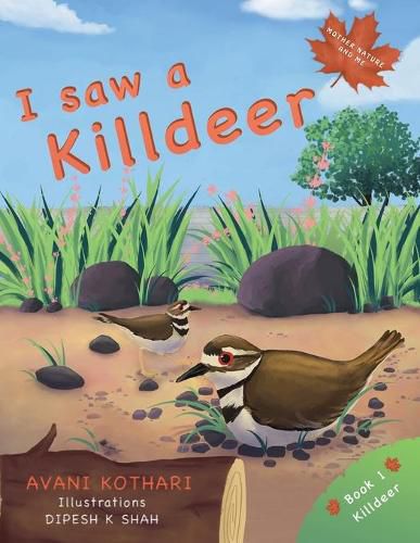 Cover image for I saw a Killdeer