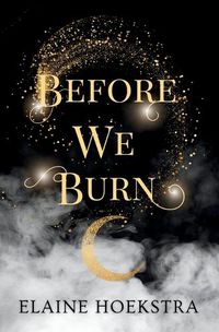 Cover image for Before We Burn