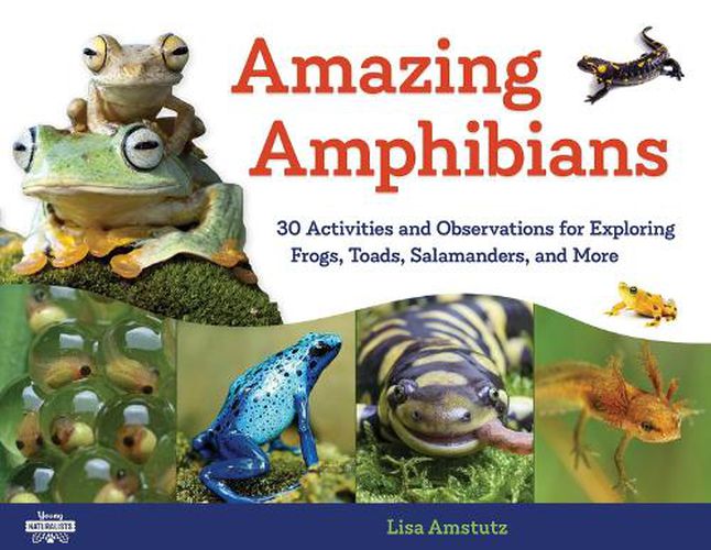 Cover image for Amazing Amphibians: 30 Activities and Observations for Exploring Frogs, Toads, Salamanders, and More