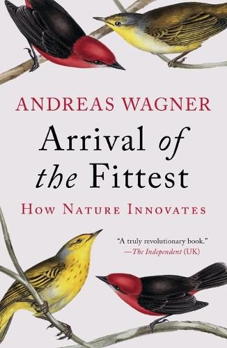 Cover image for Arrival of the Fittest: How Nature Innovates