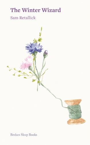 Cover image for The Winter Wizard