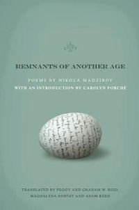 Cover image for Remnants of Another Age