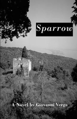 Cover image for Sparrow : A Novel