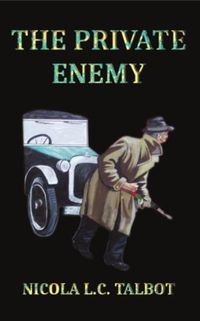 Cover image for The Private Enemy