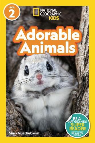 Cover image for Adorable Animals: Level 2